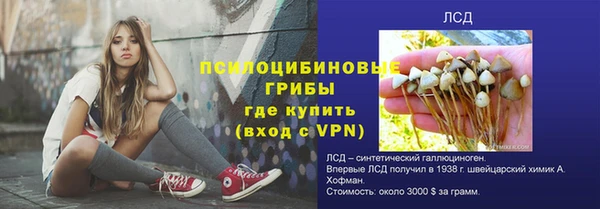 крисы Бугульма