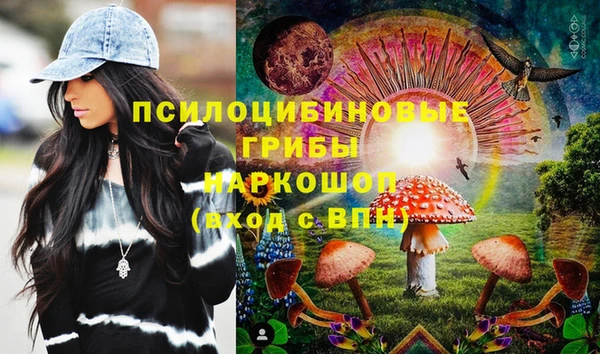 первитин Снежногорск