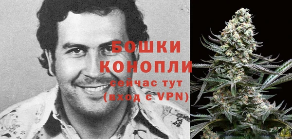 прущая мука Верея