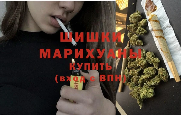 Альфа ПВП Бородино